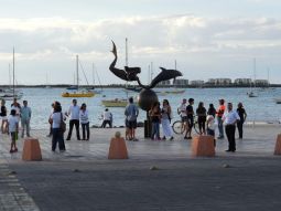 marcha por la paz en la paz bcs 3