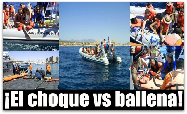 PROFEPA MUERTE TURISTA