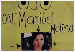 PROFESORA CECYTE 07 miriam molina