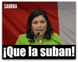 sandra luz elisarraras