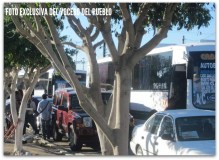 teatro de la ciudad la paz acarreados de narciso