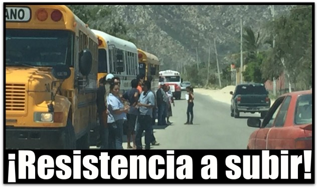 1 a predio la ballena acarreo