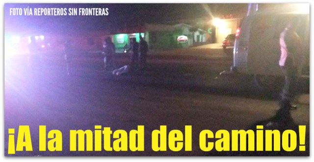 1 cenobio atropellado san jose del cabo