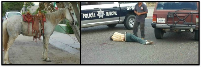 1 choque caballo y carro la paz bcs