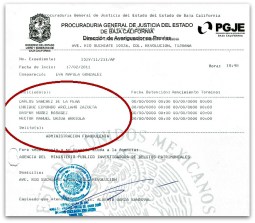 1 denuncia vs carlos sanchez del pvem y es penal resulto ser rata