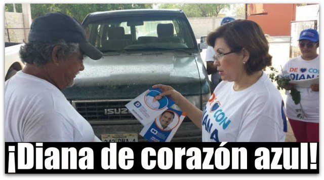 1 diana vonborstel diputada candidata