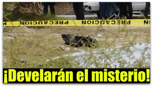 1 embolsado la paz bcs cadaver