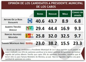 1 encuesta mitofsky 004