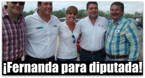 1 fernanda villarreal diputada