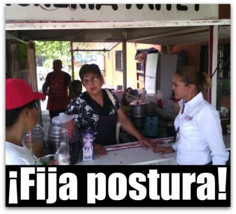 1 fernanda villarreal propuesta educacion