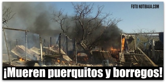 1 incendio marquez de leon