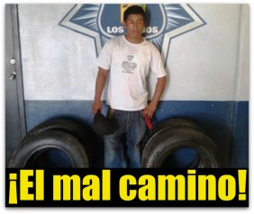1 ladron de llantas san jose del cabo