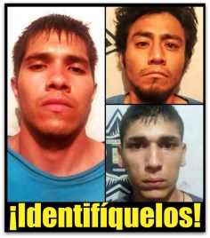 1 ladrones san jose del cabo