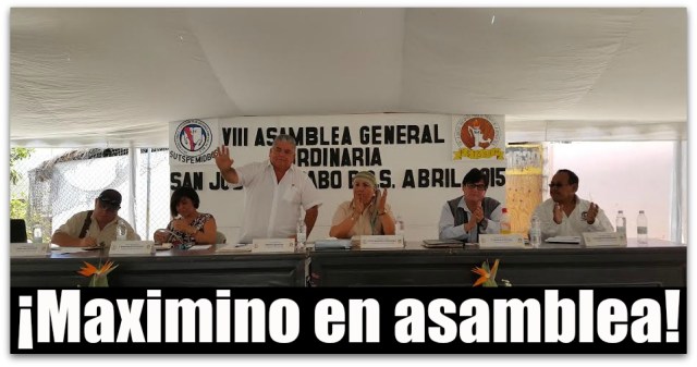 1 maximino en los cabos