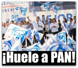 1 pan baja california sur 2015 picore