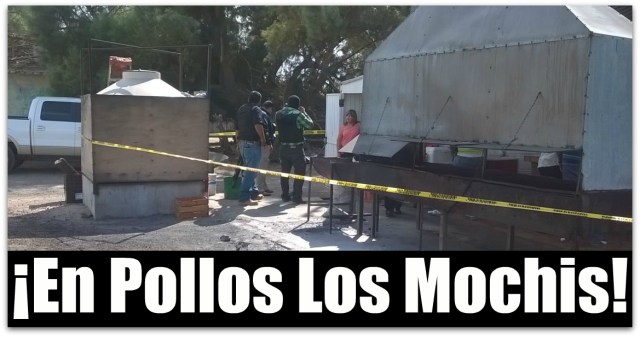 1 pollos los mochis la paz bcs
