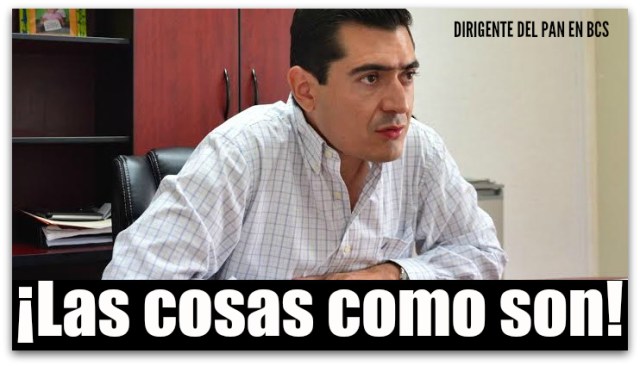 1 rigo mares snte panal pri