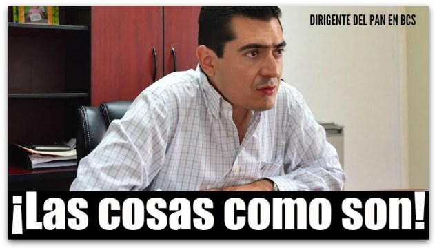 1 rigo mares snte panal pri