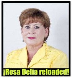 1 rosa delia cota