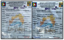 argelia maria agundez gomez