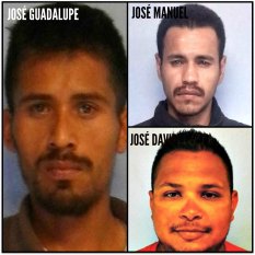 marihuana la paz bcs