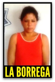 1 a a ahi esta la borrega