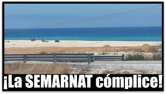 1 a depredacion en el arroyo el tule 001