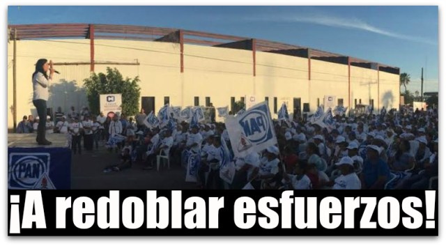 1 a jisela paes encuesta demotecnia 4894