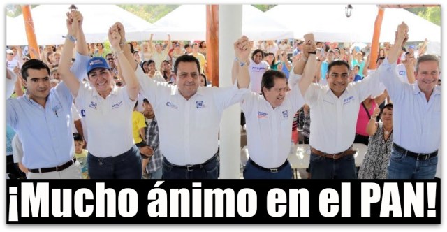 1 arturo de la rosa encuesta mitofsky