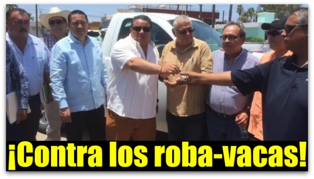 1 a abigeato ciudad constitucion el cate ojeda y adonai