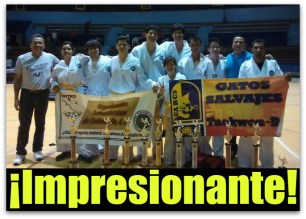 1 a gatos salvajes uabcs