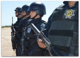 1 a policia estatal preventiva 94856