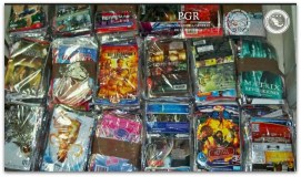 1 apocrifos discos piratas pgr operativo