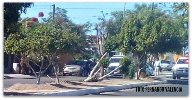 1 persecucion colonia santa fe 01