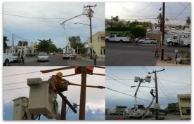 1 a cfe trabaja comision federal de electricidad r839636