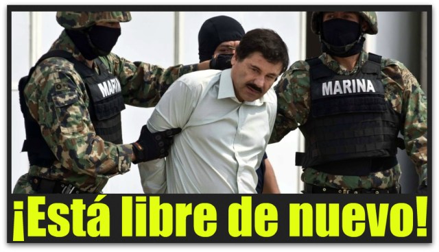 1 a chapo guzman