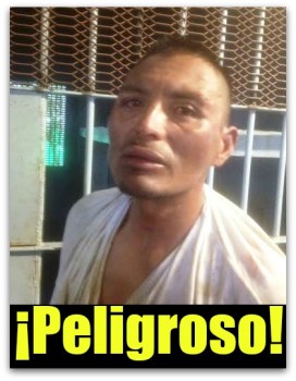 1 a daniel nava asalto polleria cabo san lucas