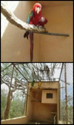 1 a decomiso en rancho san cristobal