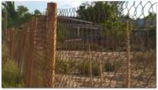 1 a disparos en el centenario 002