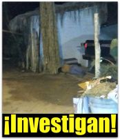 1 a ejecutado en todos santos 44