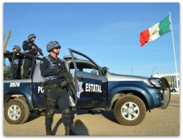 1 a policia estatal operativos r