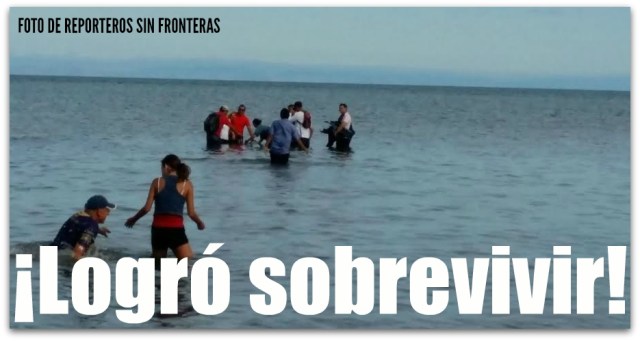 1 a delfin en el molinito