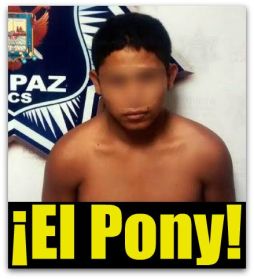 1 a el pony violacion
