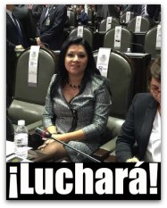 1 a jisela paes diputada federal pan bcs