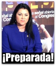 1 a jisela paes martinez diputada federal