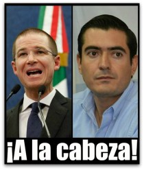 1 anaya y rigo mares van