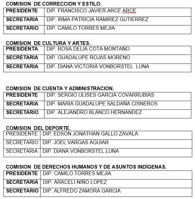 1 a comisiones congreso 004