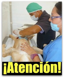 1 a esterilizacion en la paz bcs