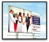 1 a familia natural matrimonio gay