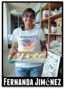 1 a megalodon investigadora uabcs